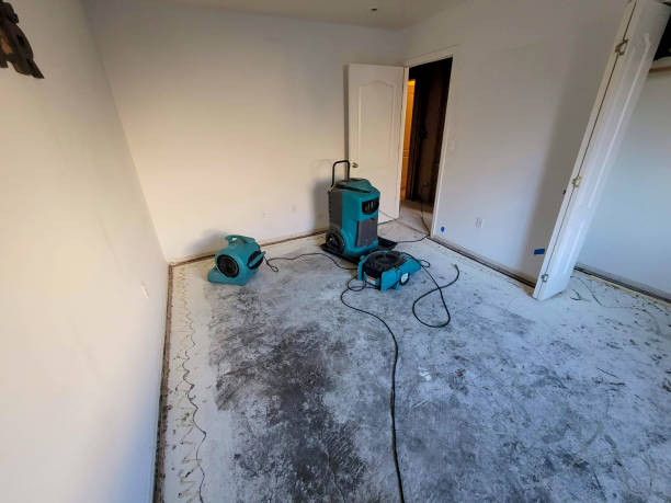 Best Professional water damage repair  in Stratford, CA