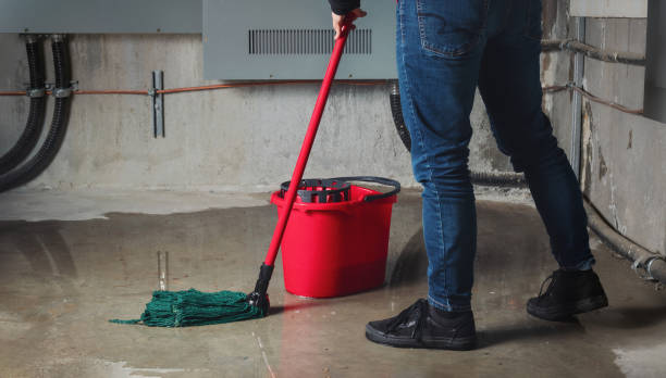 Best Water damage restoration insurance claims  in Stratford, CA