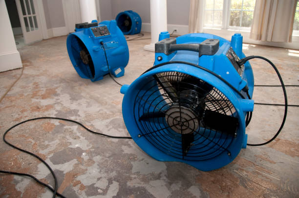 Professional Water damage restoration in Stratford, CA