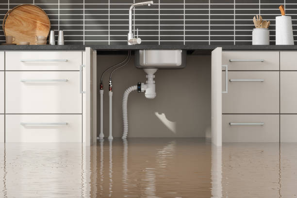 Water damage restoration mold remediation in Stratford, CA