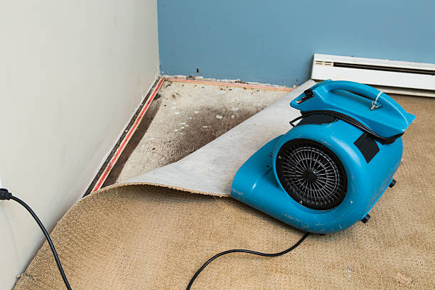 Sewage cleanup and water damage restoration in Stratford, CA